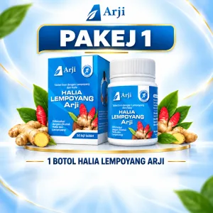 Pakej Individu
